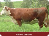 ashmarlastday
