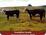 glenwarrah